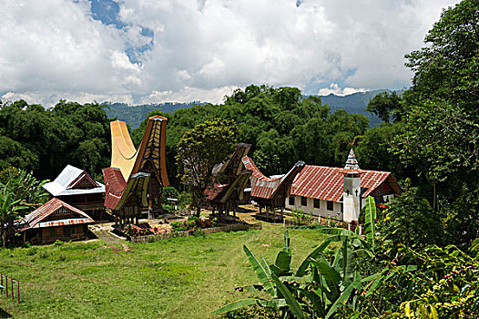 乡村,传统,房子,基督教堂,靠近,苏拉威西岛,印度尼西亚,东南亚