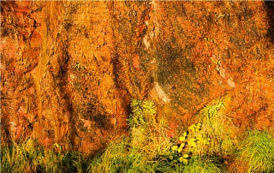 橙色背景,湿,石头,岩石墙,纹理,青草,户外