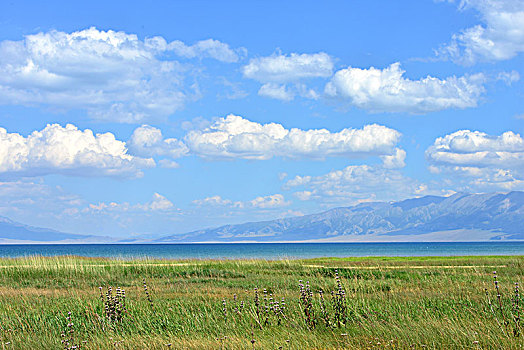 新疆赛里木湖季风光