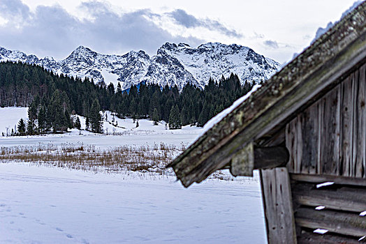 欧洲,德国,巴伐利亚,风景,上方,冰冻,积雪,顶峰,山