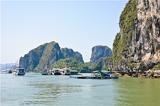 旅游,船,漂浮,渔村,下龙湾,越南