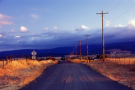 电线杆,牧场,道路,山谷,华盛顿,美国