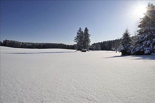 冬季风景,上巴伐利亚,巴伐利亚,德国
