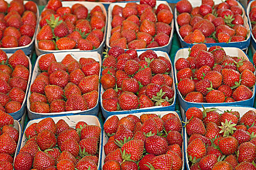 草莓,农民,市场