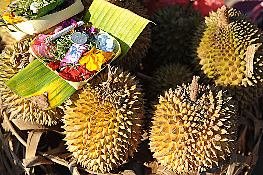 印度尼西亚,巴厘岛,登巴萨,市场,榴莲,水果