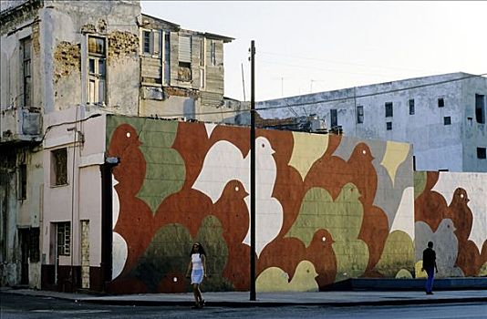 街角,宽阔,壁画,彩色,鸽子,平和,哈瓦那,古巴,加勒比海