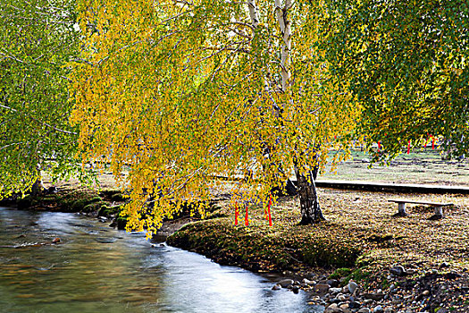 新疆阿勒泰额尔齐斯大峡谷秋天