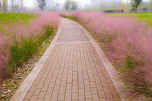 花徑