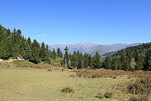 阿坝风光