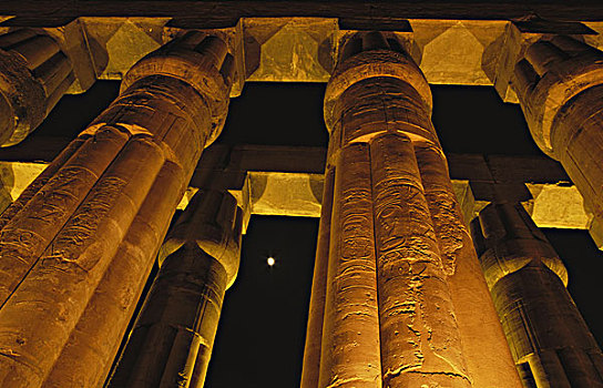 埃及,路克索神庙,柱子,卢克索神庙,大幅,尺寸