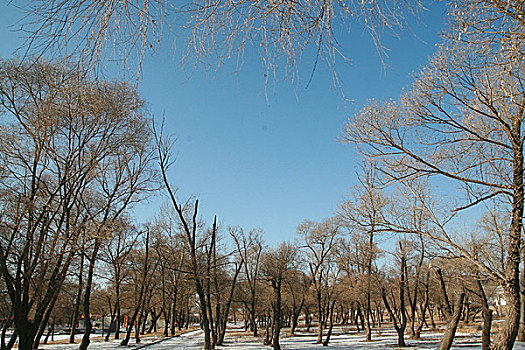 东北吉林省敦化市两江镇农村雪景