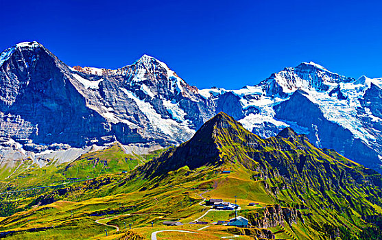 阿尔卑斯山,高山,雪,草