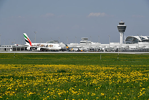 酋长国,空中客车,特别,团结,正面,1号航站楼,塔,慕尼黑,机场,上巴伐利亚,巴伐利亚,德国,欧洲