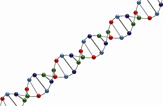 基因,隔绝,白色背景