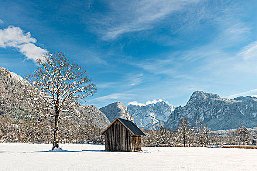 谷仓,冬季风景,格罗塞尔,后面,国家公园,施蒂里亚,奥地利,欧洲
