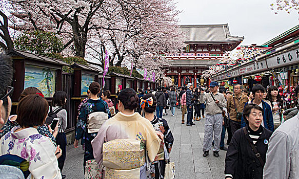 游览浅草寺