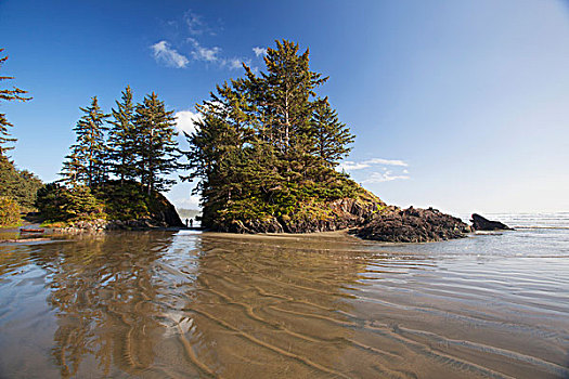 长滩,乐园,环太平洋国家公园,靠近,不列颠哥伦比亚省,加拿大