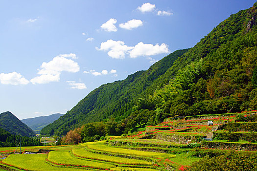 稻米梯田,车站