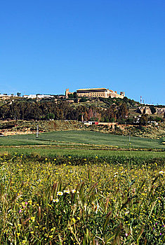 农田,卡尔莫纳,安达卢西亚,西班牙