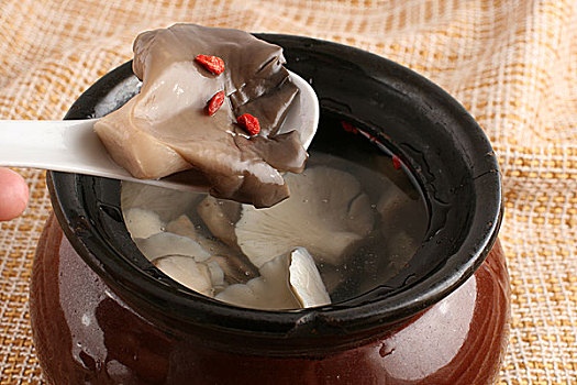 养颜菌王汤