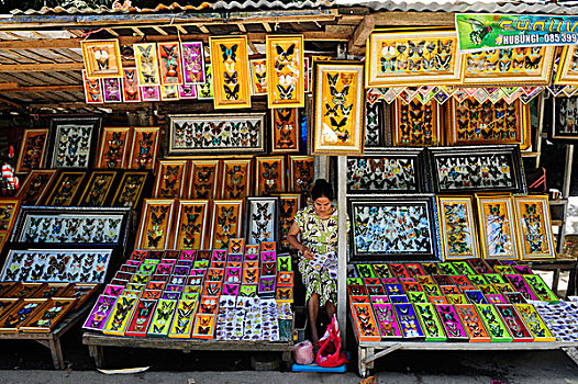 女人,销售,蝴蝶,靠近,苏拉威西岛,岛屿,印度尼西亚,东南亚