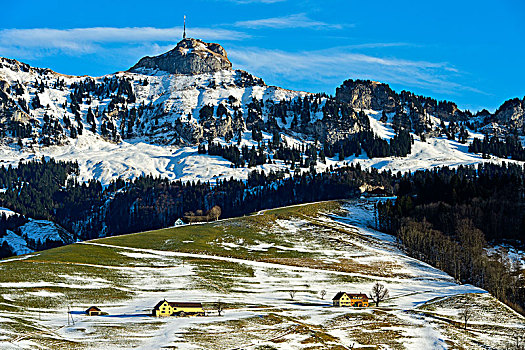 风景,顶峰,冬天,阿彭策尔,阿尔卑斯山,瑞士,欧洲