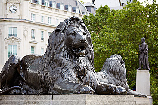 英国的代表动物狮子图片