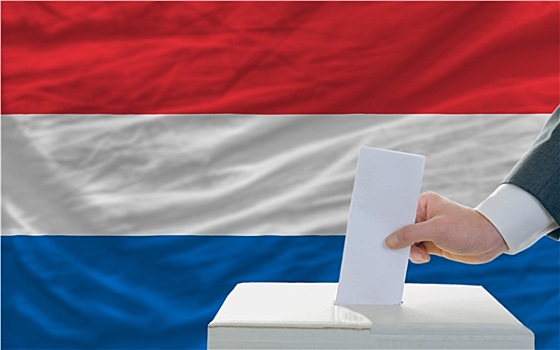 男人,投票,选举,荷兰,正面,旗帜