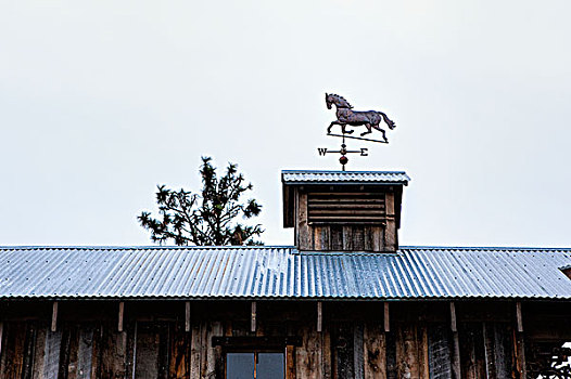 马,风向标,房顶,坐,上面,老建筑