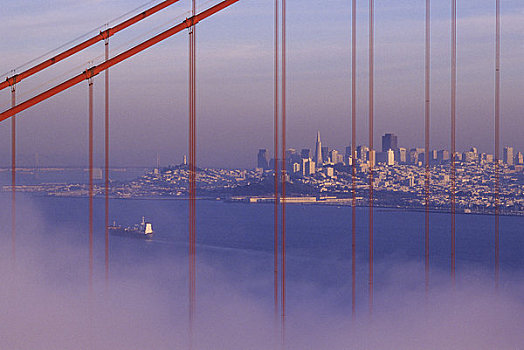 美国,加利福尼亚,旧金山,金门大桥,雾,特写