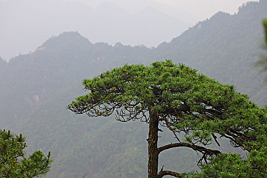 三清山