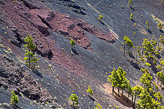 火山口,帕尔玛,圣安东尼奥,火山