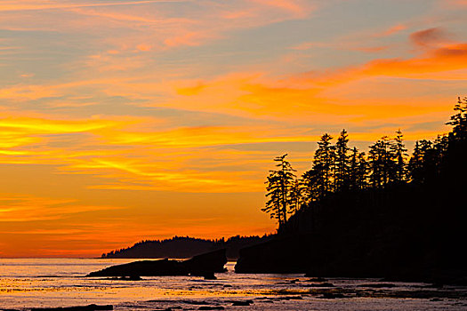 加拿大,环太平洋国家公园,西海岸小径,日落,海滩,营地