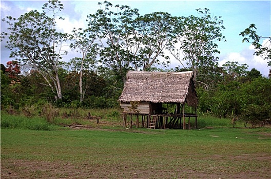 亚马逊河,丛林,一个,小屋