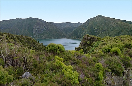 繁茂,湖岸,风景,亚速尔群岛