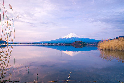 富士山,日本