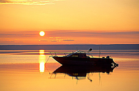 钓鱼运动,船,北方,湖,加拿大