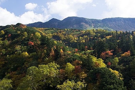 秋叶,山,水疗