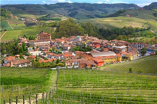 风景,城镇,巴罗洛葡萄酒,绿色,山,葡萄园,春天,意大利北部