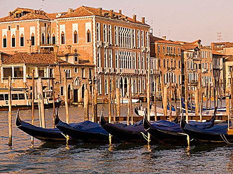 排,小船,建筑,背景,威尼斯,意大利