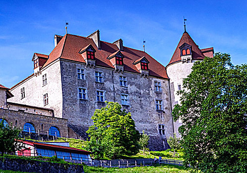 城堡,弗里堡,瑞士