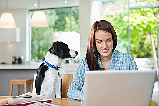 狗,看,女人,使用,笔记本电脑