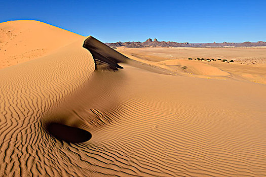 沙丘,国家公园,世界遗产,撒哈拉沙漠,阿尔及利亚,北非,非洲