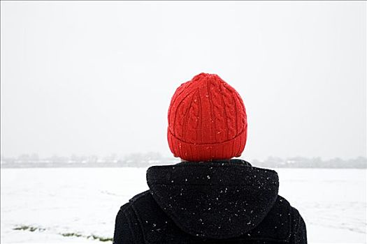 后视图,男孩,雪地