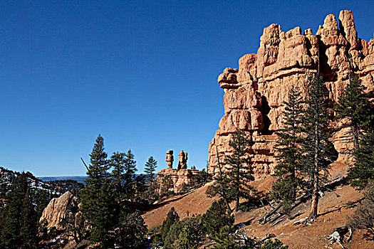 砂岩,悬崖,红色,峡谷,州立公园,犹他,美国