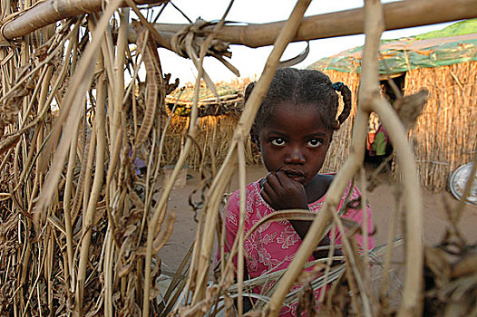 女孩,看,栅栏,房子,露营,人,近郊,林羚,南方,达尔富尔,苏丹,十一月,2004年