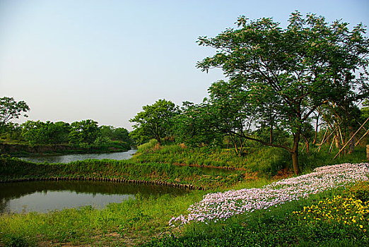 杭州西溪湿地