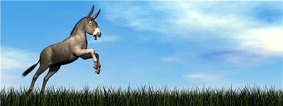 驴,跳跃