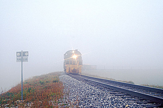 列车,晨雾,不列颠哥伦比亚省,加拿大