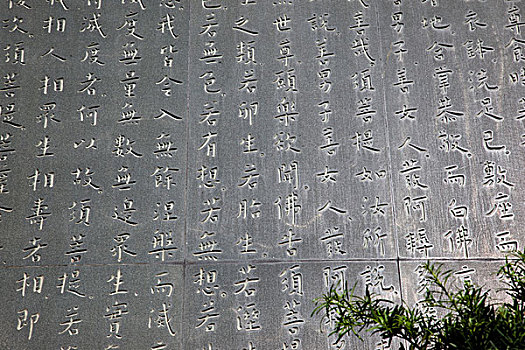 墙壁,雕塑,西部,寺院,香港
